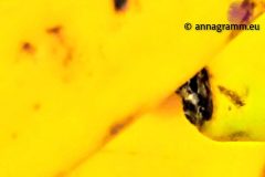 IMG_20191031_2115582