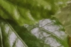 IMG_20200129_103923