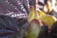 IMG_20210422_1626151