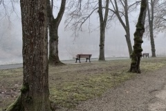 IMG20241130110139