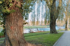 IMG20251107155640