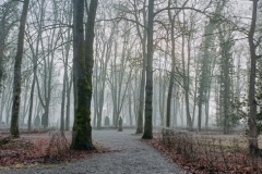 IMG20260117102814
