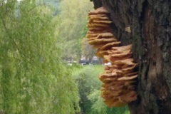 IMG_20220510_162518