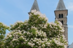 IMG_20250622_213824