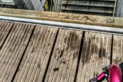 IMG_20191106_160332