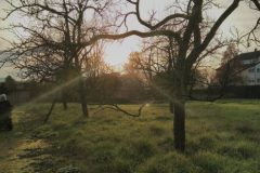 Golden hour
